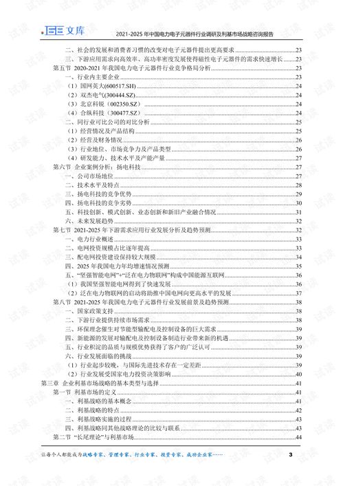 2021 2025年中国电力电子元器件行业调研及利基市场战略咨询报告.pdf