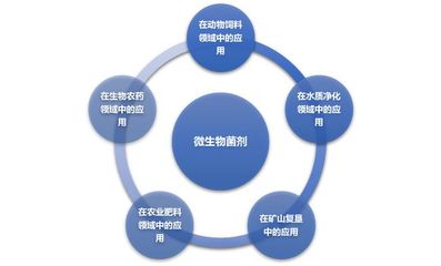 微生物菌剂行业竞争格局及主要发展趋势